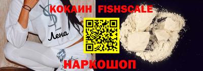 дмт Кингисепп