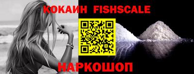 дмт Кингисепп