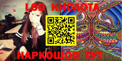 дмт Кингисепп