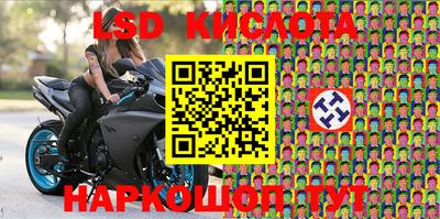 стаф Кимры