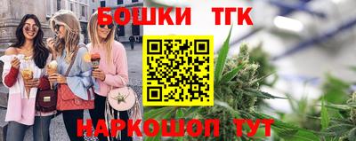 дмт Кингисепп