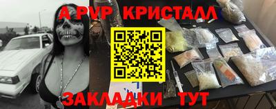 дмт Кингисепп