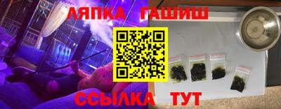 дмт Кингисепп