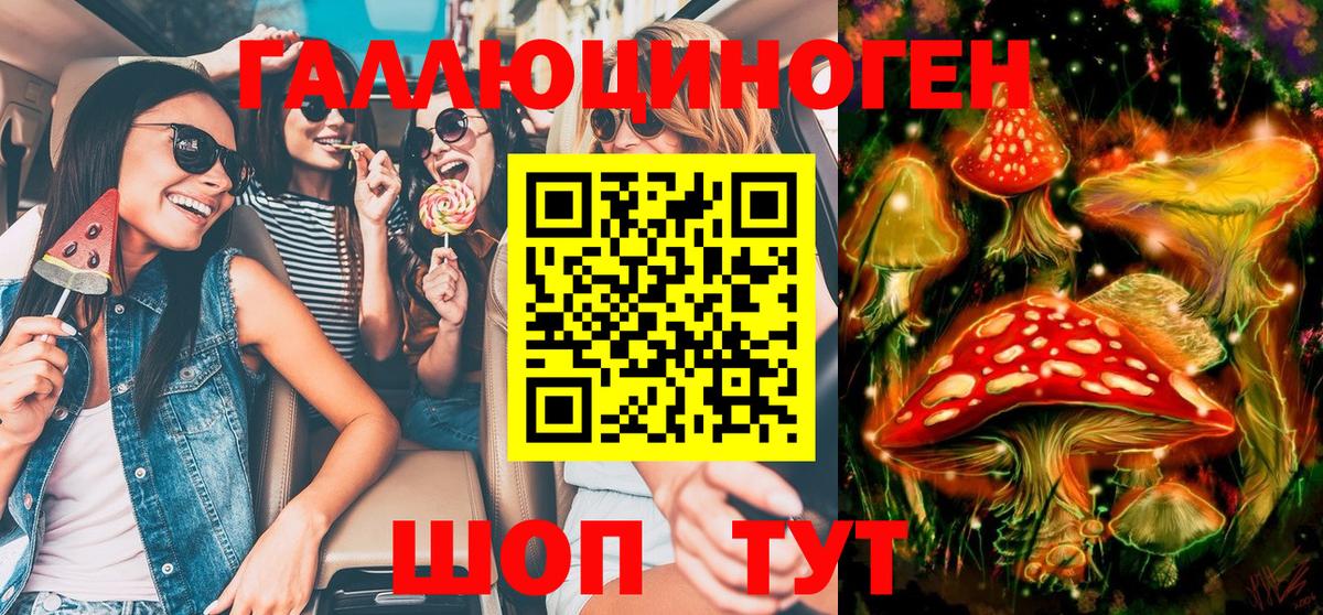 Псилоцибиновые грибы MAGIC MUSHROOMS  Вход с VPN  Владикавказ 