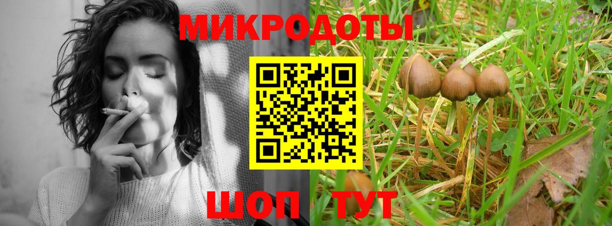 Псилоцибиновые грибы Psilocybine cubensis Владикавказ
